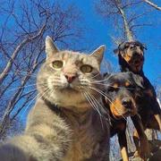 浅川蔚蓝的个人资料头像