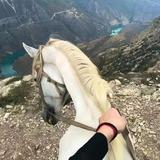 李 老 五头像