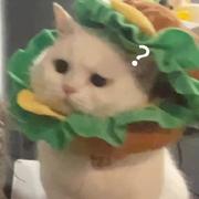 Hakumatata的个人资料头像