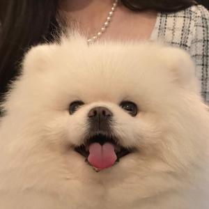 健康橙子17头像