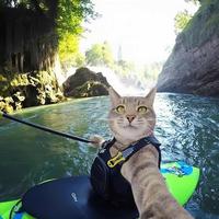 长安事故理赔王聪头像