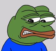 张泡泡儿的个人资料头像