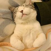 用户8564464996257的个人资料头像