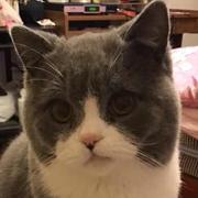 靖雅的个人资料头像