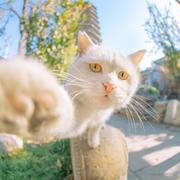 大西瓜17598的个人资料头像