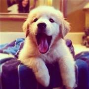 下大雨267的个人资料头像