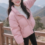 端庄优雅饭团3AR头像