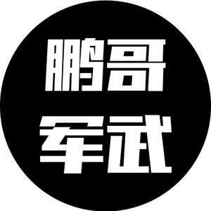 鹏哥军武头像