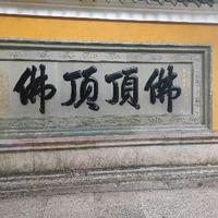 逐沧海头像