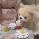 自导自演同志的个人资料头像