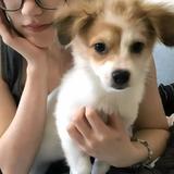 清笙唤漓人797头像