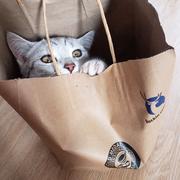 YusakuKudou的个人资料头像