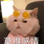 小田630的个人资料头像