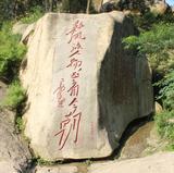 腾飛萬里007头像