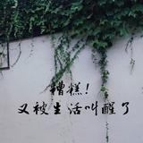 YENLAN头像