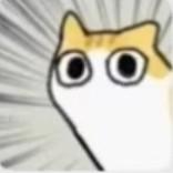 用户4438835851436头像