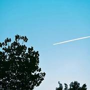 NorthernLight的个人资料头像