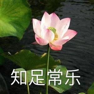 健康探秘者头像