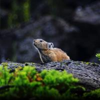 用户6618104617304头像