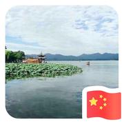 at617的个人资料头像