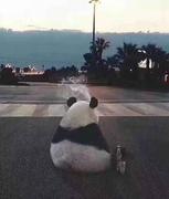 hchao的个人资料头像