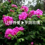 沧海横流才显英雄本色头像