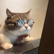 亦白469的个人资料头像