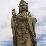 宝丽汽车头像