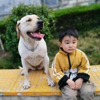 家里有只哆2M9t头像