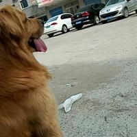 人生隨性头像