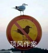 江梦昔年的个人资料头像