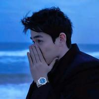 风姿卓越星球N01头像