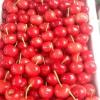 金山大樱桃停车场东临头像