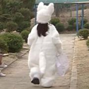 啾一个可爱啾的个人资料头像