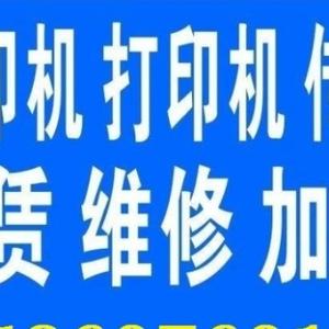 乐观的高速成长头像