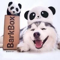 看不清的痛头像