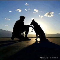 悠闲帆船tRH头像