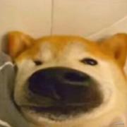 叫什么名字呢的个人资料头像