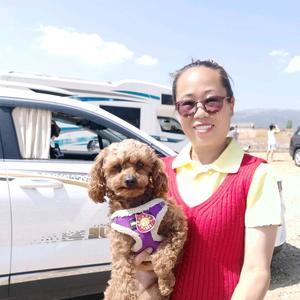 妍姐旅行记头像