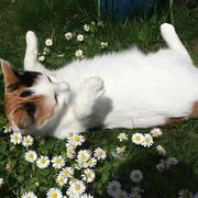 ayu695的个人资料头像