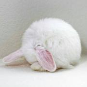 用户8017128267721的个人资料头像