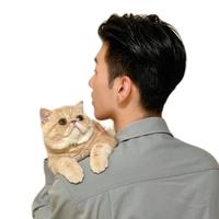 用户412942151628头像