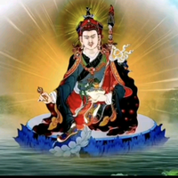 外向百灵鸟dy头像