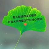 用户3496868734339头像