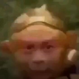 陆影幻魔头像