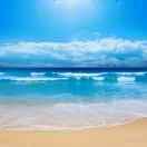 陈鹏的个人资料头像