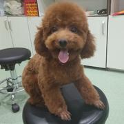 顺顺雯雯的个人资料头像