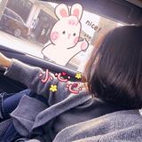 运动南宫9K1头像