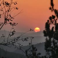一杯野咖啡头像
