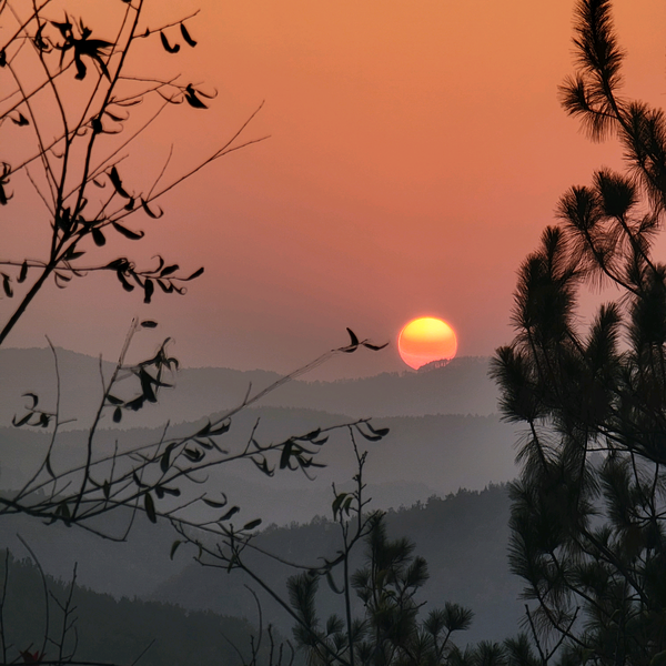 一杯野咖啡头像